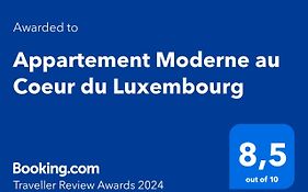 Appartement Moderne Au Coeur Du Luxembourg